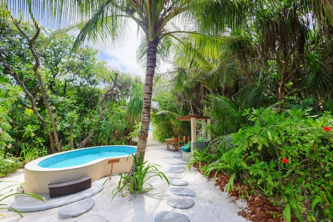 Deluxe Pool Villa - Pool