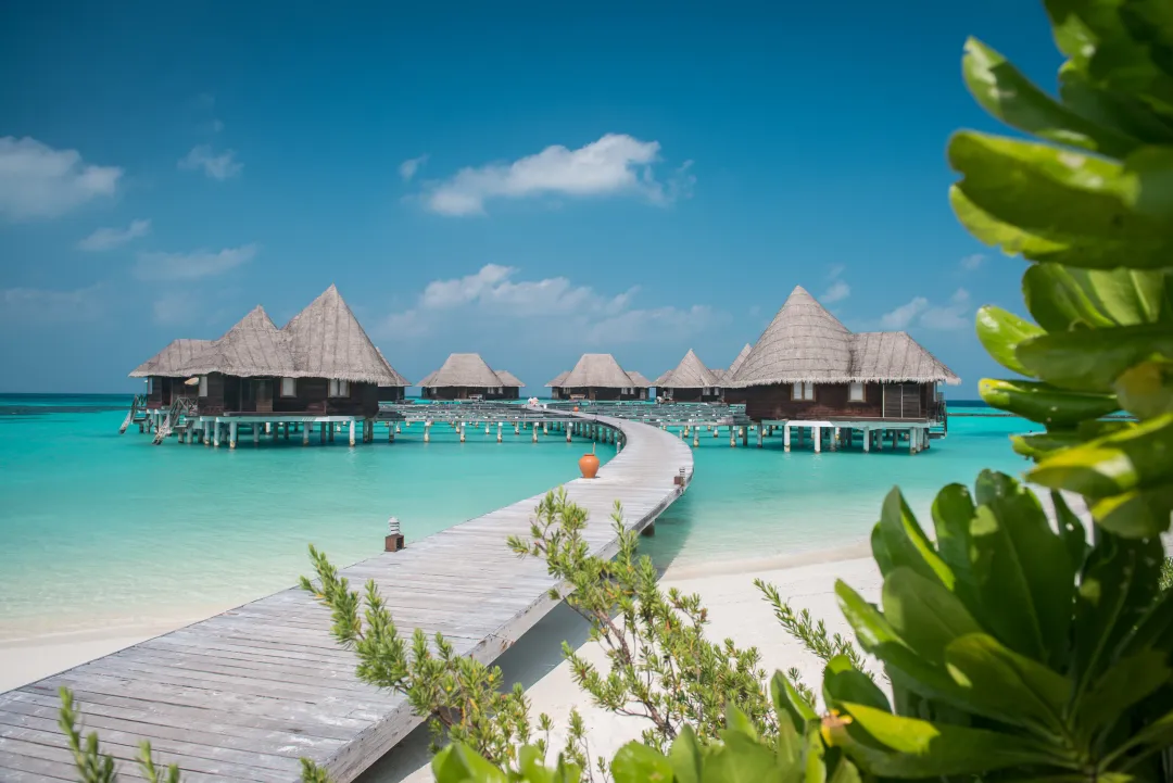 Lagoon Villa - Villa Over View