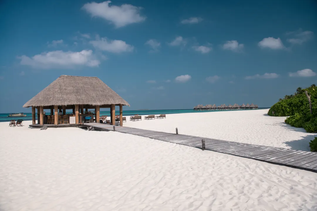 Beach Bar
