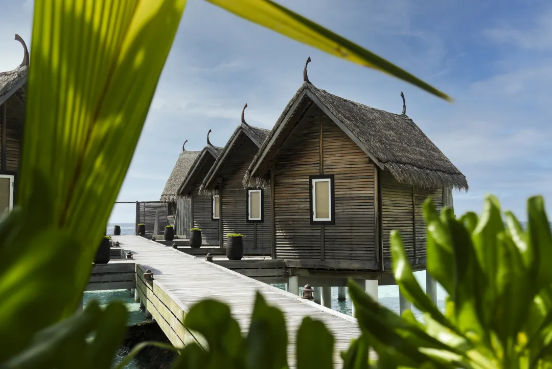 Constance Moofushi -Spa Roomsjpg