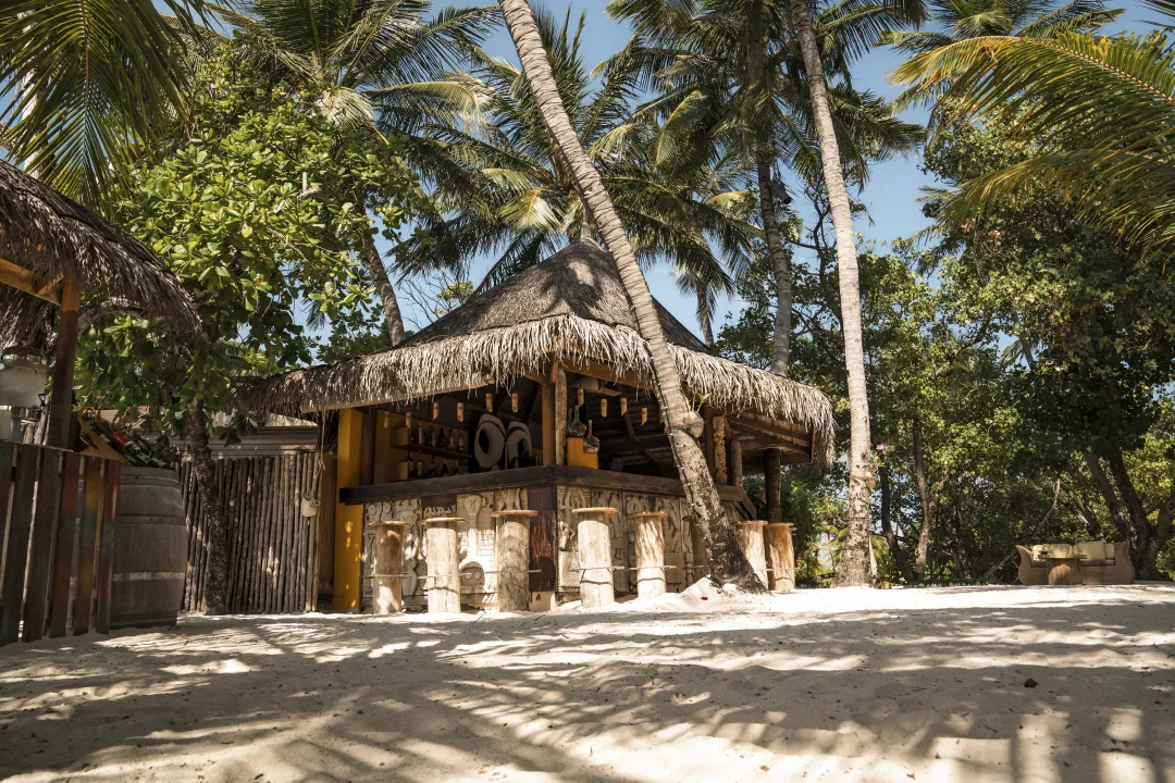 Constance Moofushi - Bar