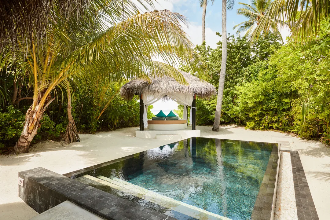 Deluxe Beach Villa with Pool - Pool