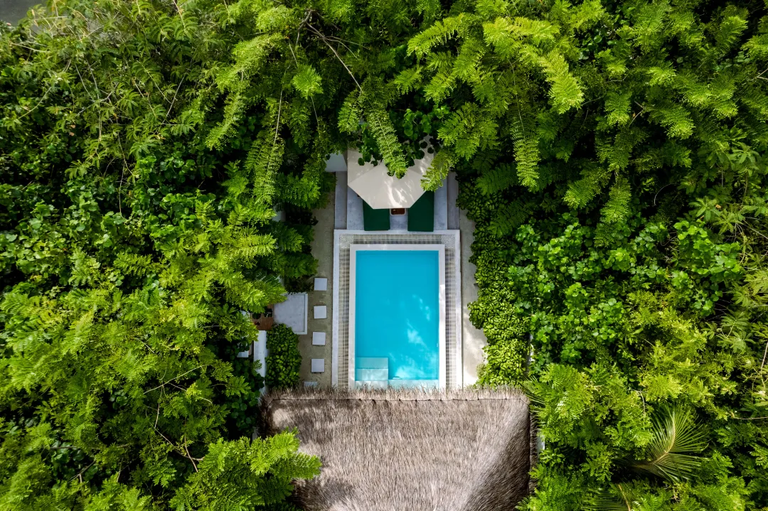 Beach Residence with Pool - Pool Aerial View