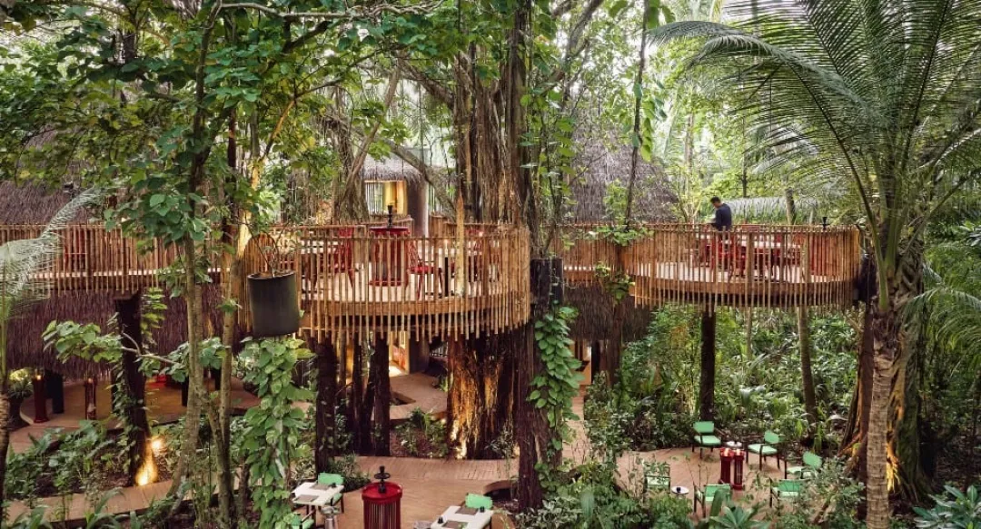 Nest Restaurant