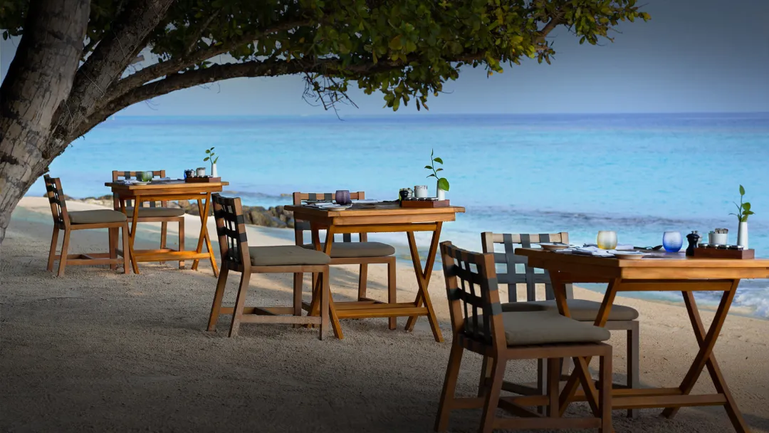 Amaany Restaurant