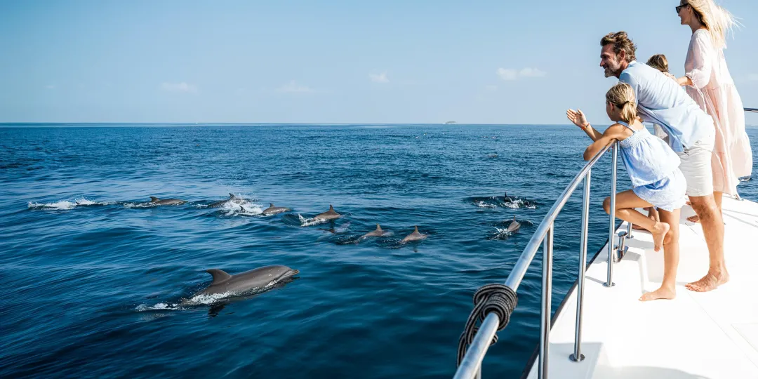 InterContinental-Maldives-Dolphin-Watch
