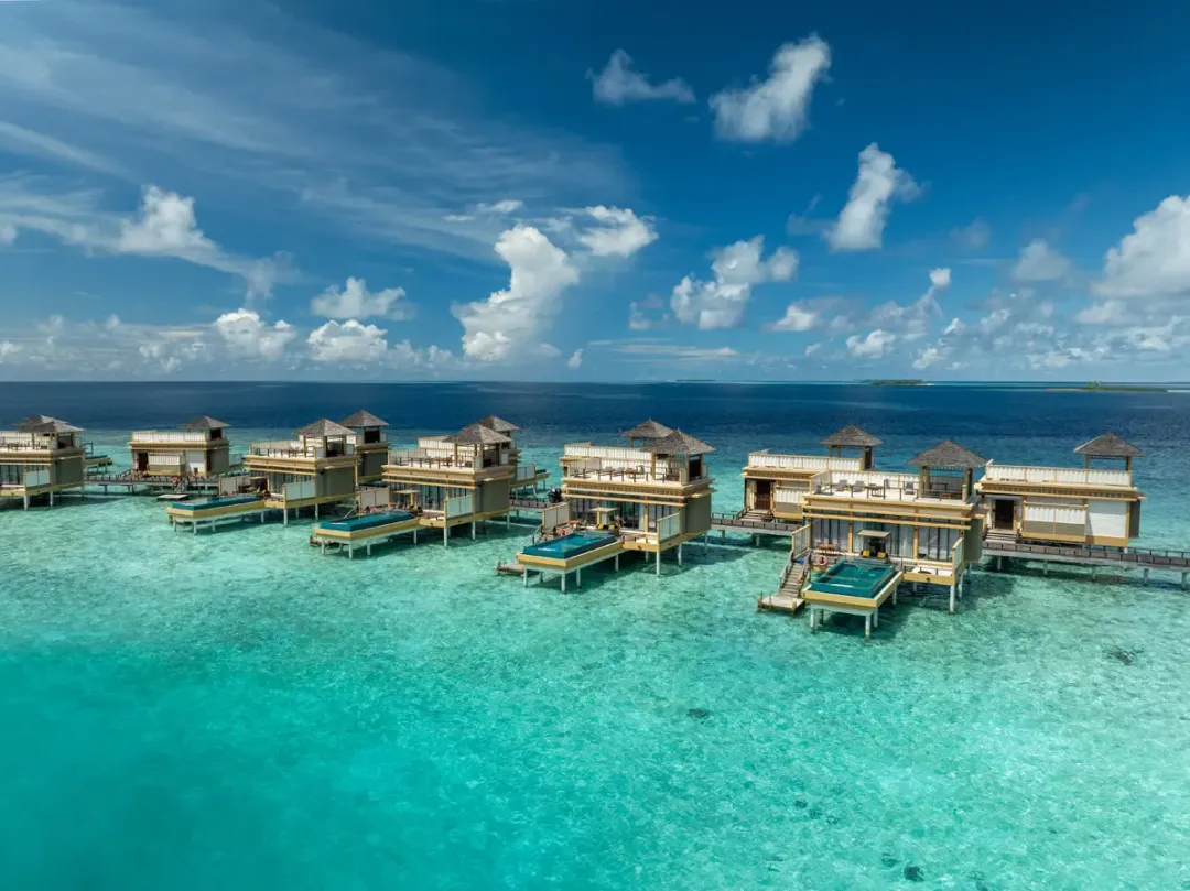 Angsana-Velavaru-In-Ocean-Pool-Villa