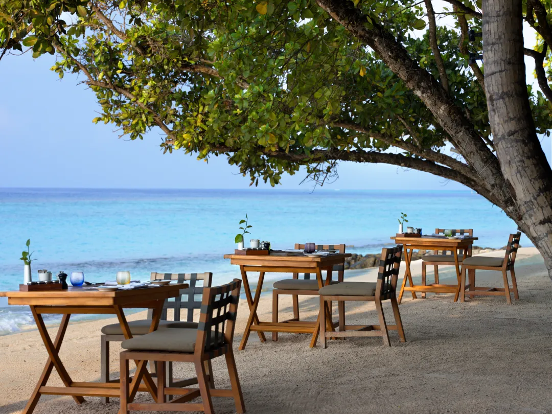 Amaany Restaurant 