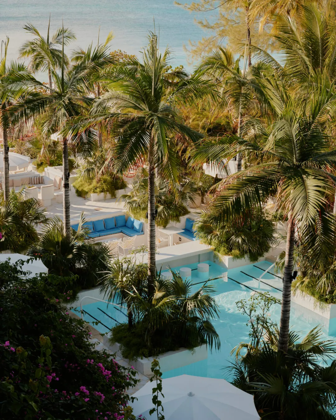 Palm-Heights-Swimming-Pool-Aerial-View