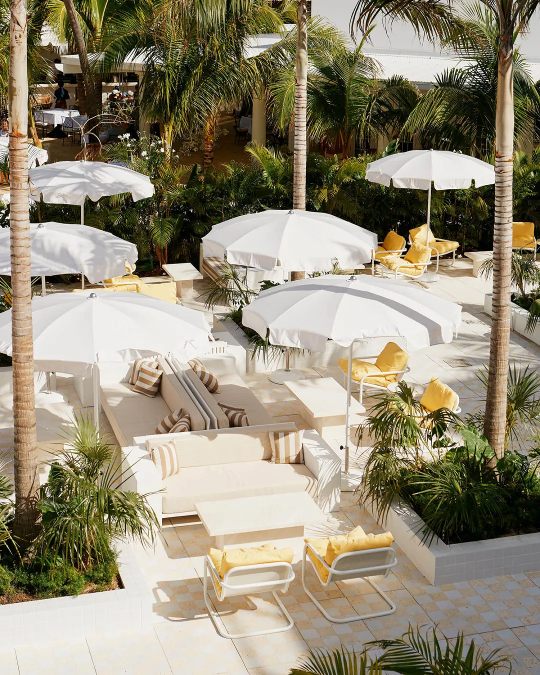 Palm-Heights-Pool-Area
