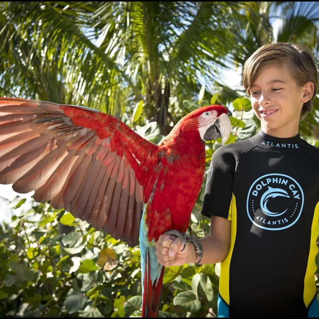 kid-with-Bird