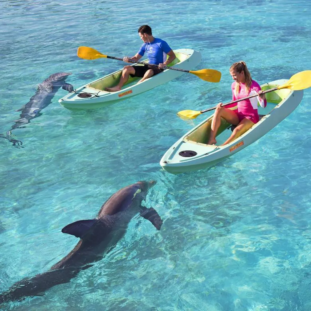 The Reef at Atlantis, Bahamas - Kayaking 