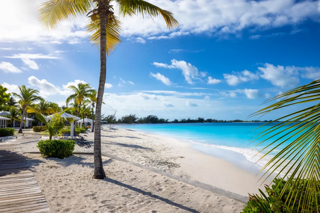 The beach of Cape Santa Maria at the north of Long Island, Bahamas, with turquoise sea and fine, white sand and coconut palm trees