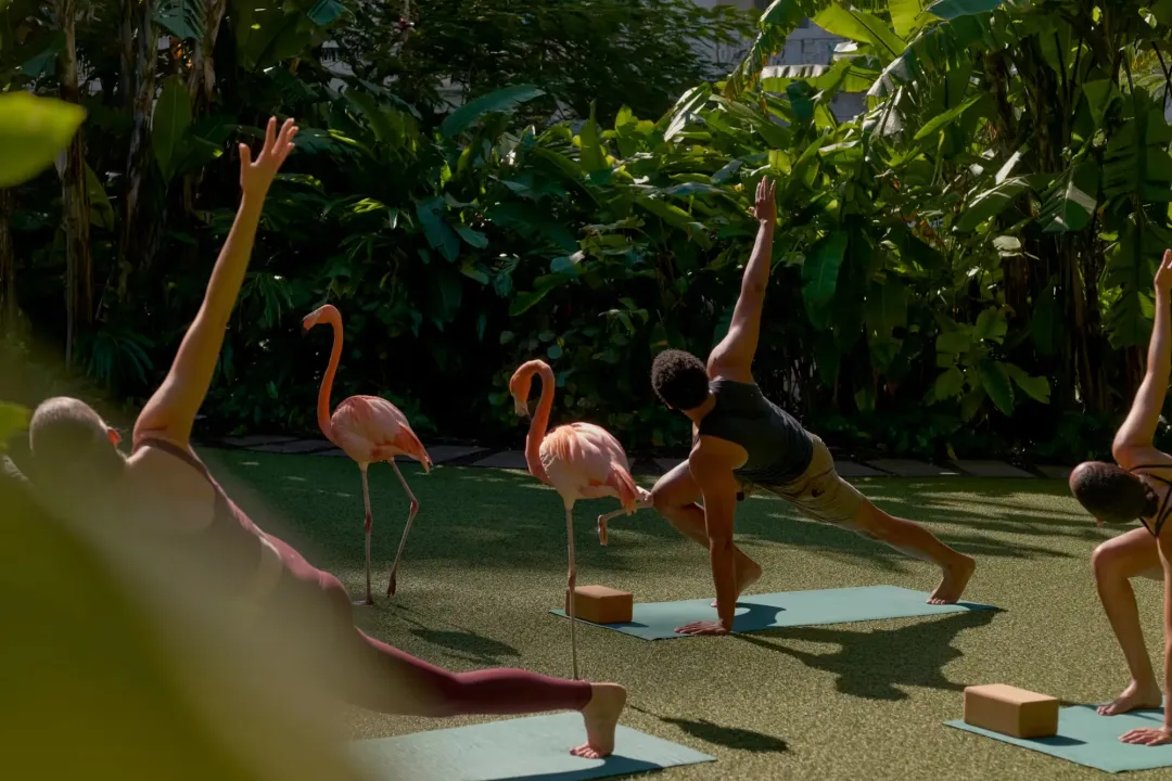 Rosewood-Baha-Mar-Flamingo-Yoga