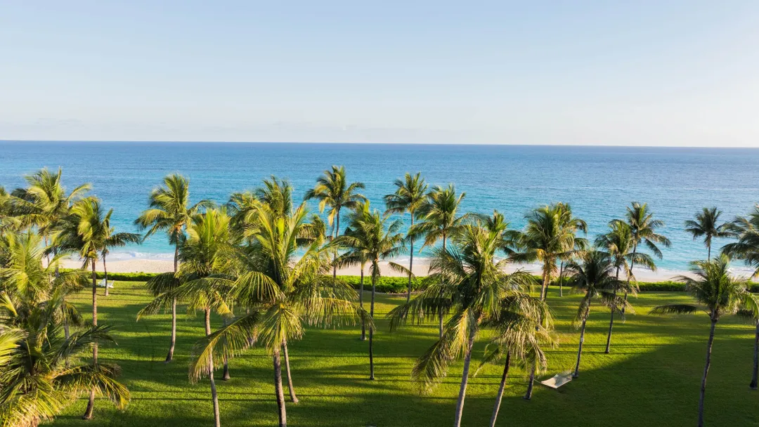 Ocean Club Four Seasons Bahamas - Lawn