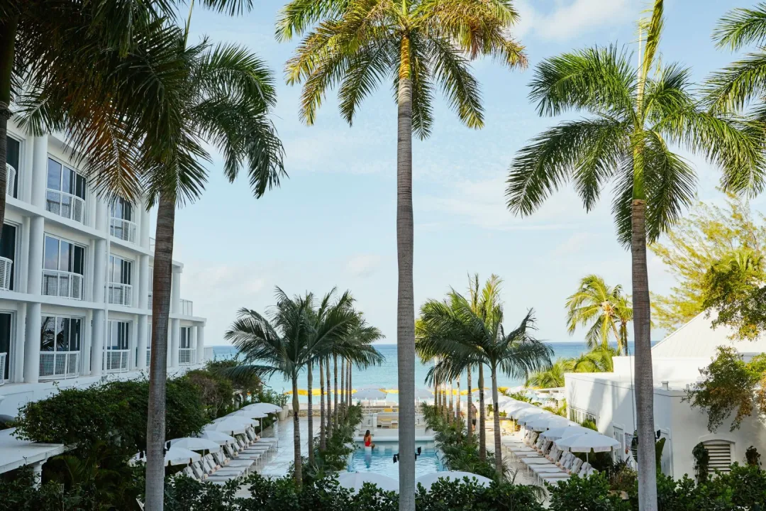 Palm-Heirghts-One-Bedroom-Terrace-Suite-View