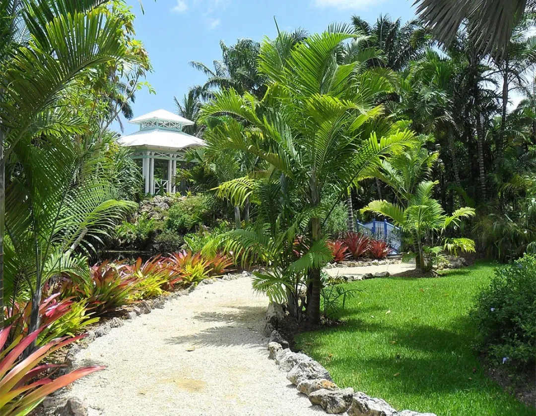 Grand-Cayman-Botanic-Park