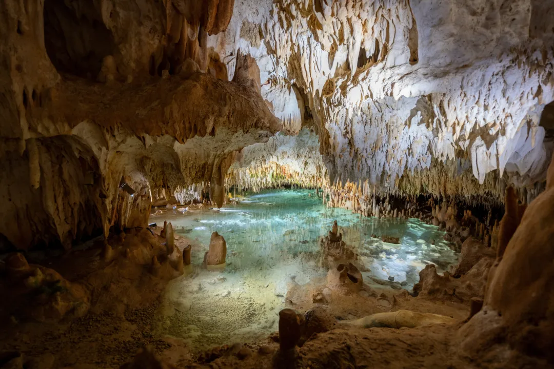 Cayman Crystal Caves in the  Grand Cayman Islands. Situated in a lush tropical forest in Northside, Grand Cayman.
