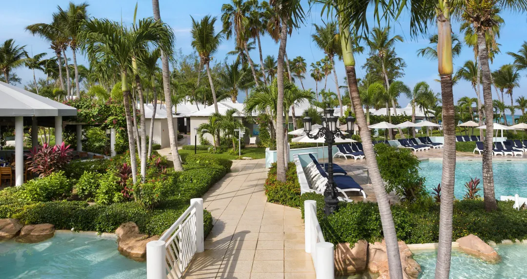 Turks-and-Caicos-Beaches-Turks-and-Caicos-Lush-Garden