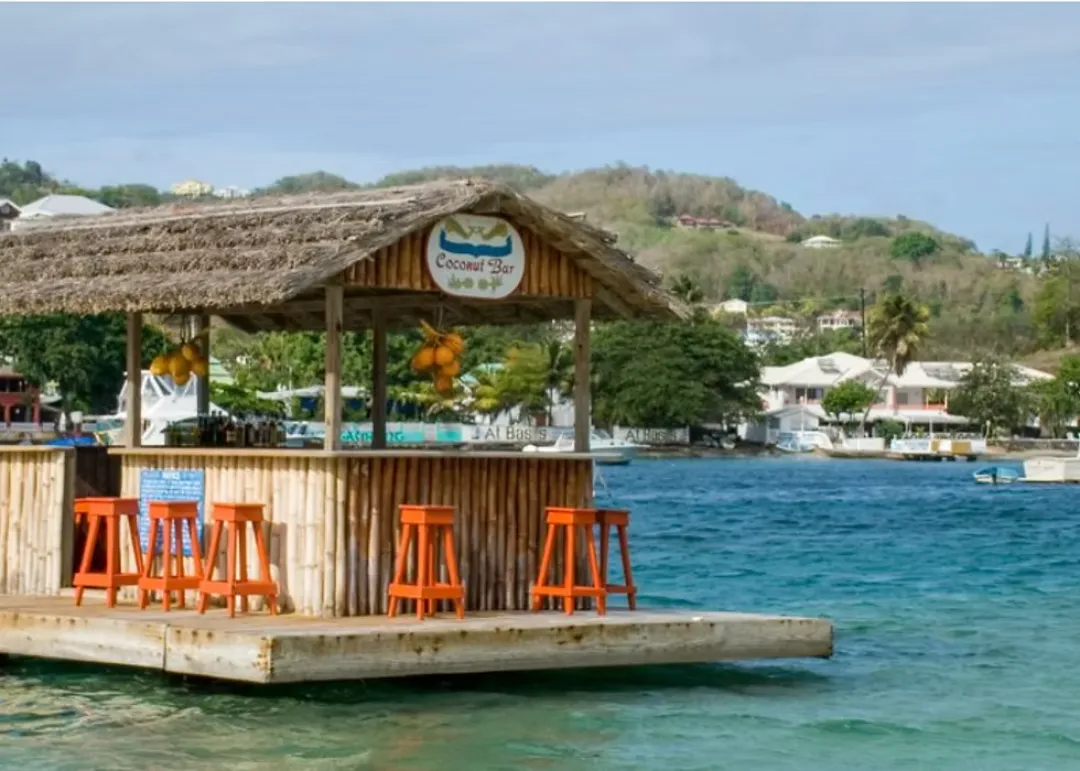 Young-Island-Coconut-Bar