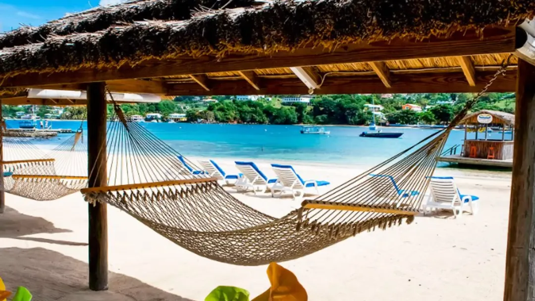 Young-Island-Hammock