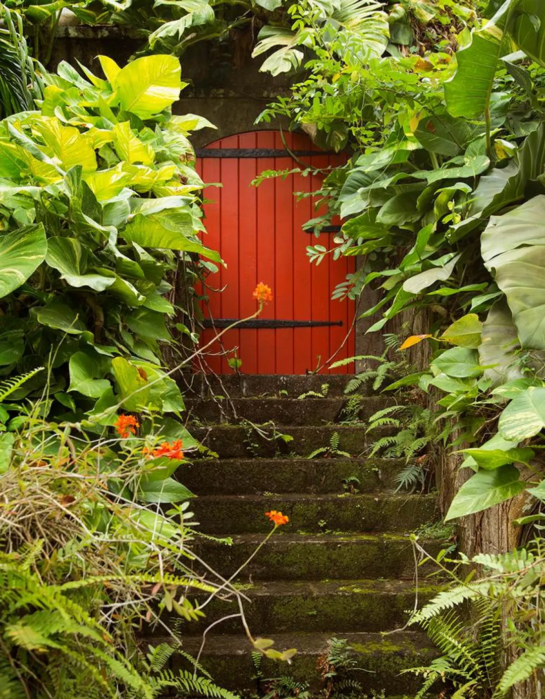 Golden-Rock-Inn-Room-Entrance
