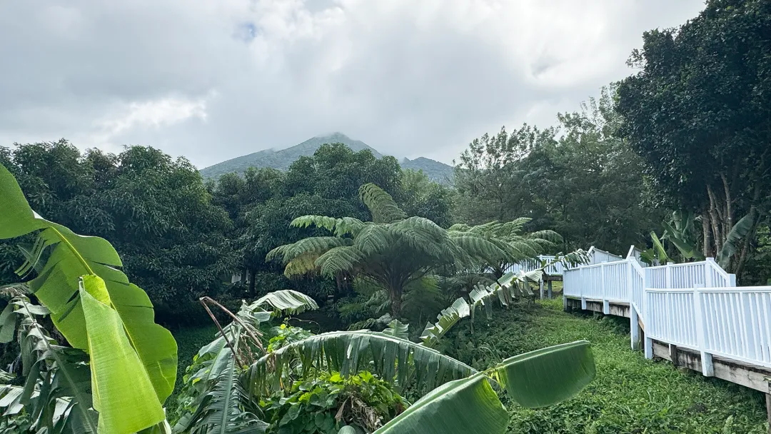 Belle Mont Sanctuary Resort - Farmhouse