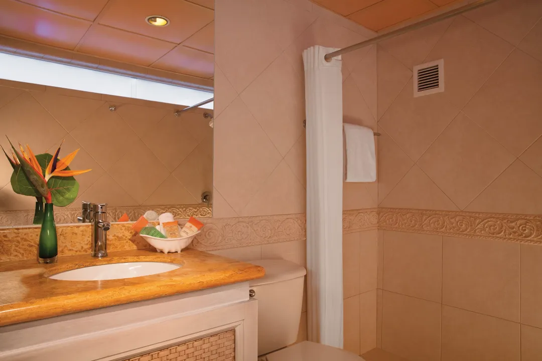 Deluxe Garden View Room - Bathroom
