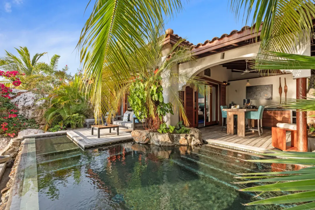 Superior Beachfront Pool Suite - Pool