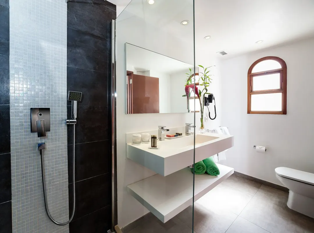 Odysseys Travel - Le Petit Hotel - Deluxe Studio - Bathroom
