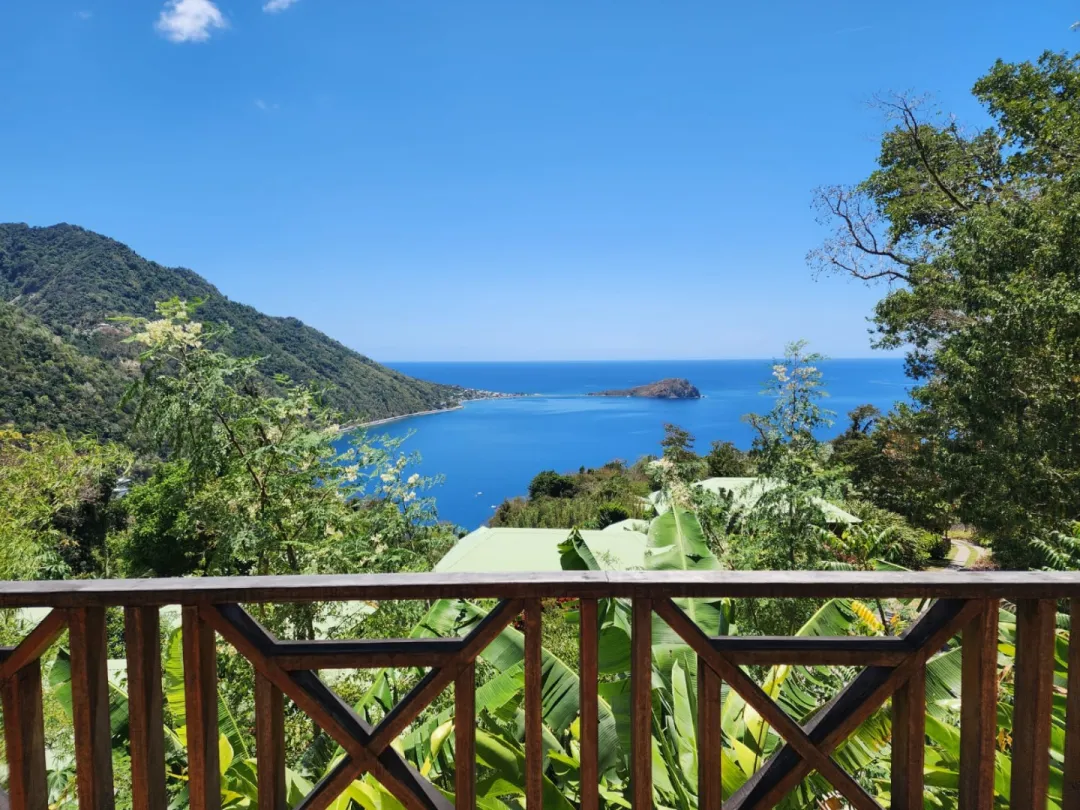 Partial Ocean View Room - Balcony Lounge
