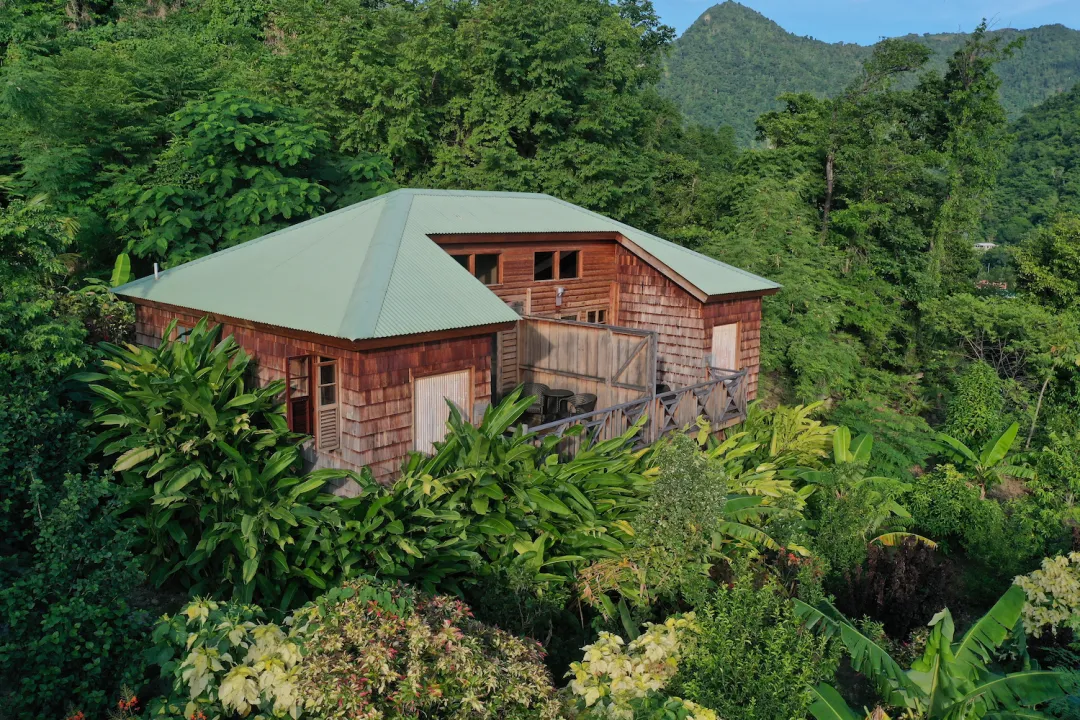 Jungle Bay Dominica - Suite Over View