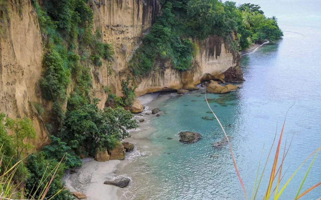 Jungle Bay Dominica -Sea View