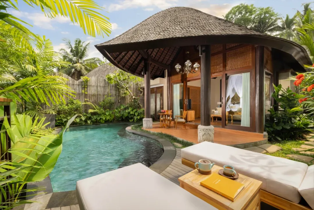 Jungle Pool Villa - Pool