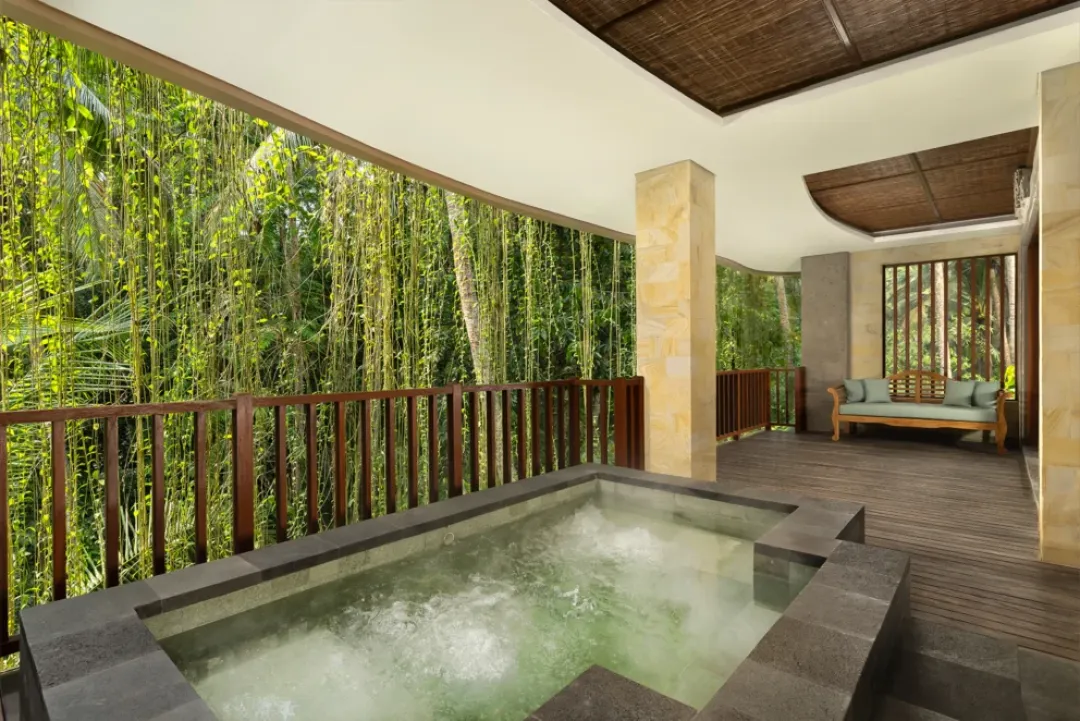 Abisena Royal Suite - Plunge Pool