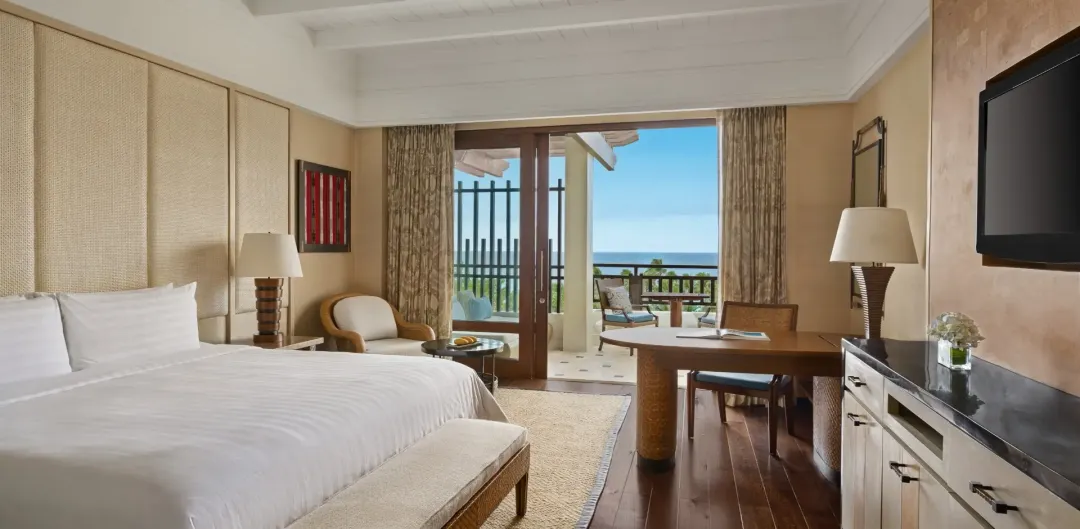 Deluxe Vista Room - King Bed