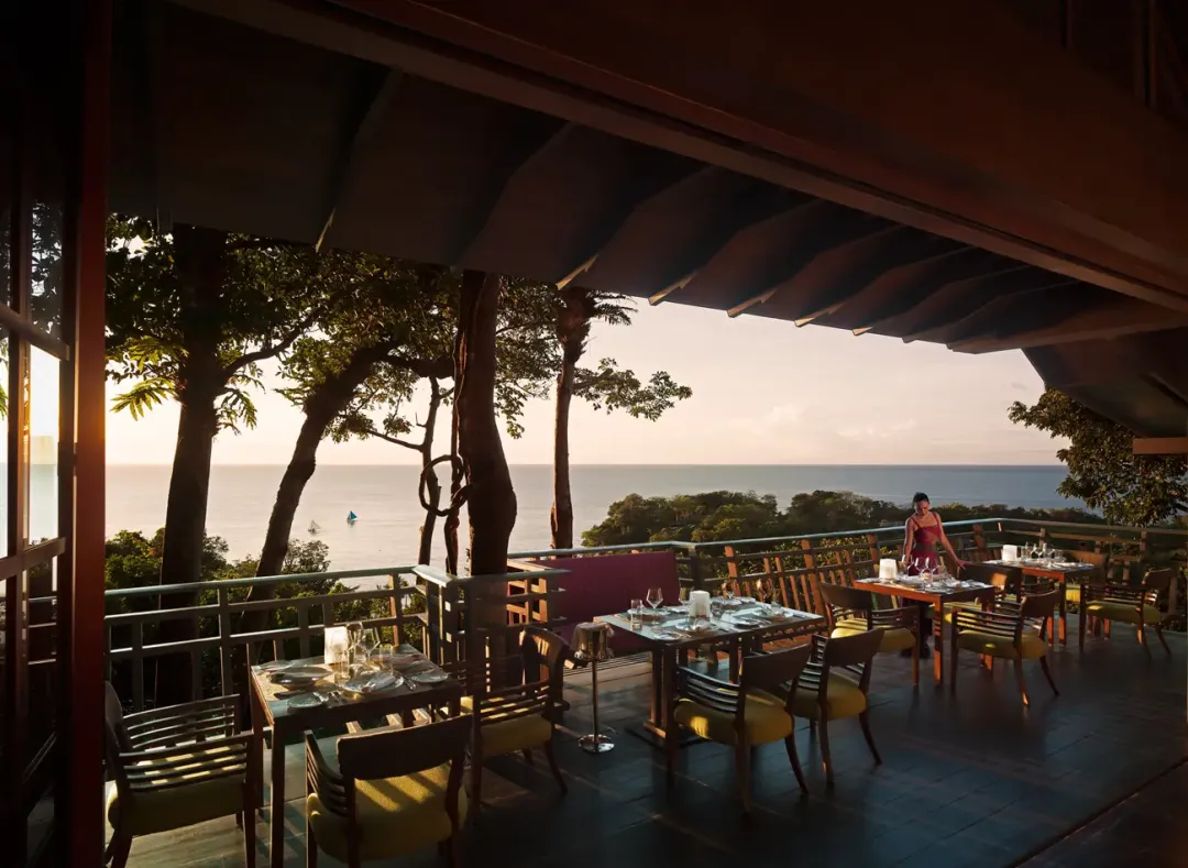 Rima Treetop Dining