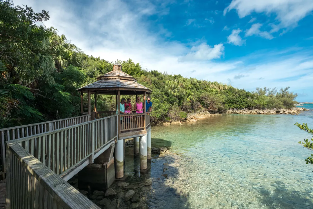 Grotto Bay Beach Resort and Spa -Fish Feeding