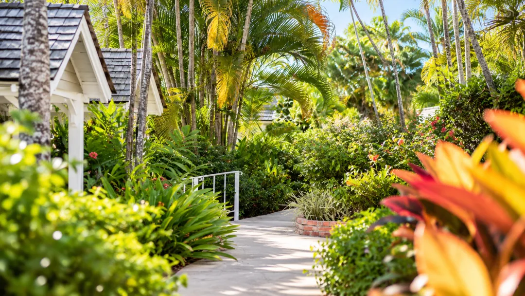 Odysseys Travel - Little Good Harbour - Garden Walkway