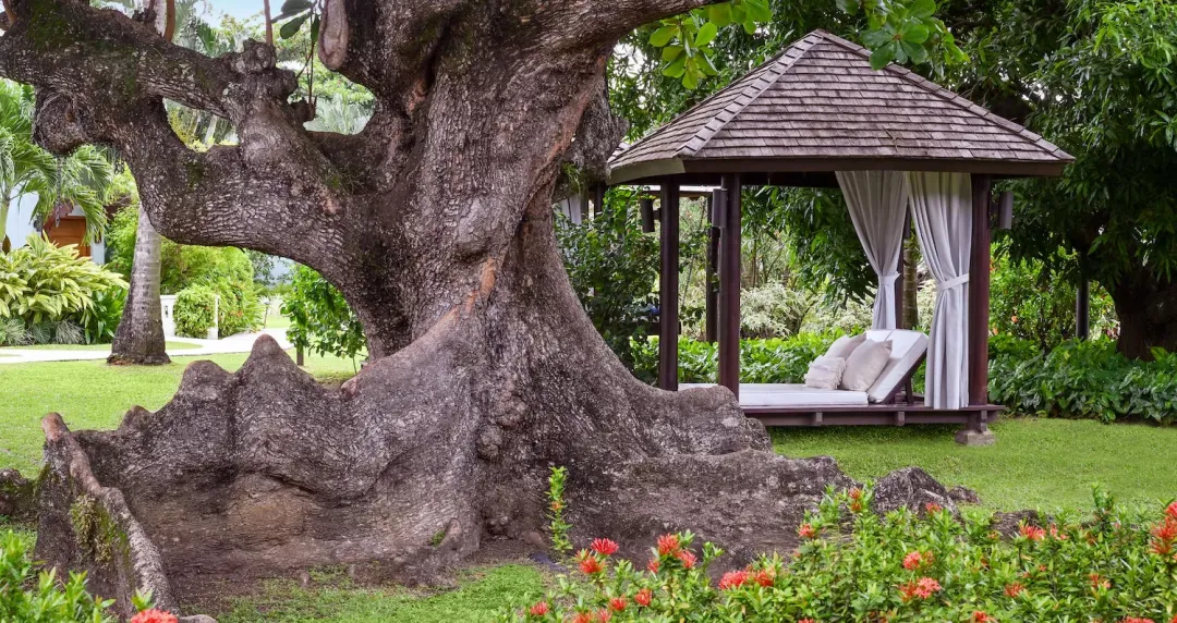 Sandals Halcyon Beach - Garden Cabana