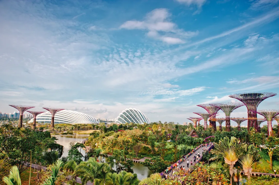 Odysseys Travel - Mandarin Oriental Singapore - Gardens by the Bay Outlook