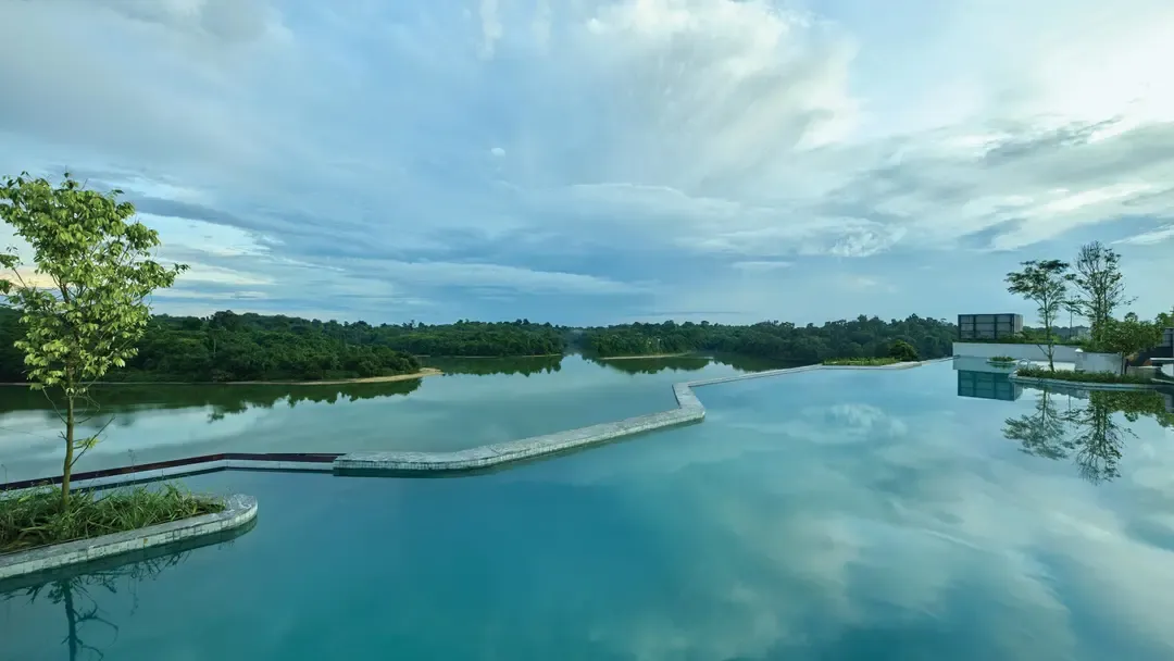 Odysseys Travel - Mandai Rainforest Resort by Banyan Tree - Rooftop Pool