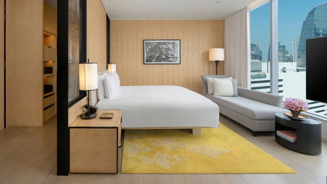 Odysseys Travel - Park Hyatt Bangkok - Deluxe City View Room - Closet