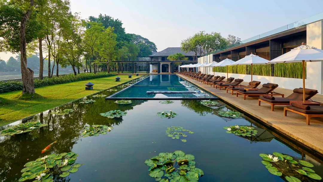 Odysseys Travel - Anantara Chiang Mai Resort - Lily Pond and Pool