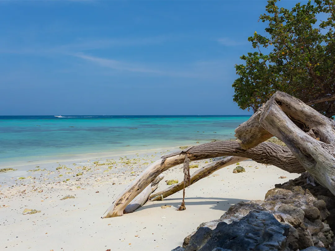 Phi Phi Holiday Resort - Sea View