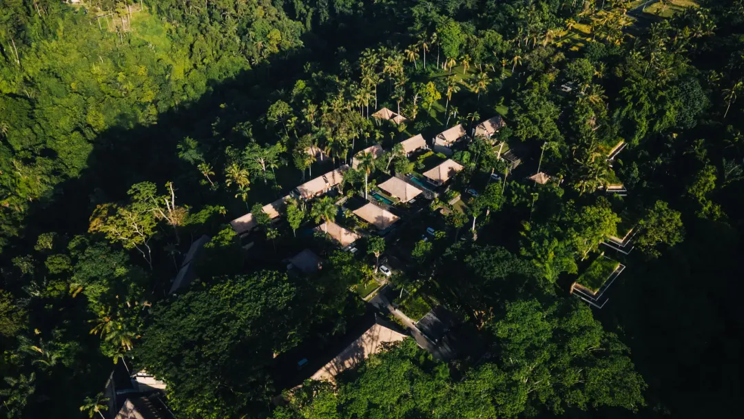 Alila Ubud - Aerial View