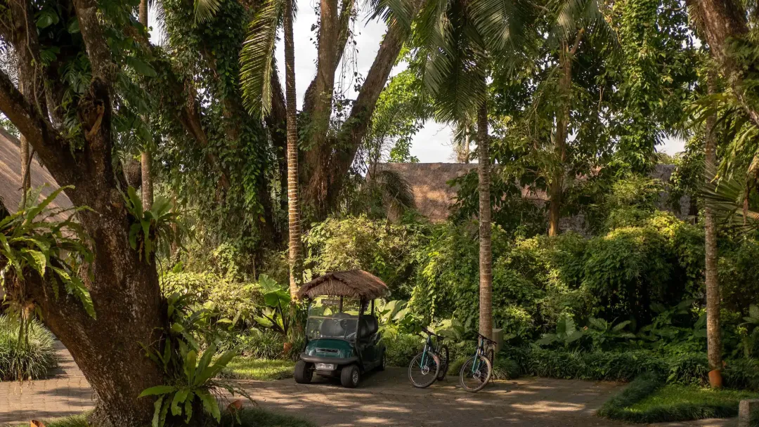 Alila Ubud - Garden View
