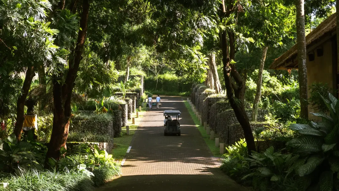 Alila Ubud - Garden