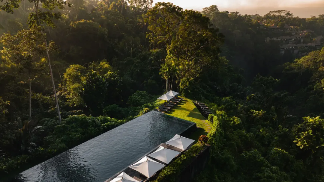 Alila Ubud - Pool Aerial View