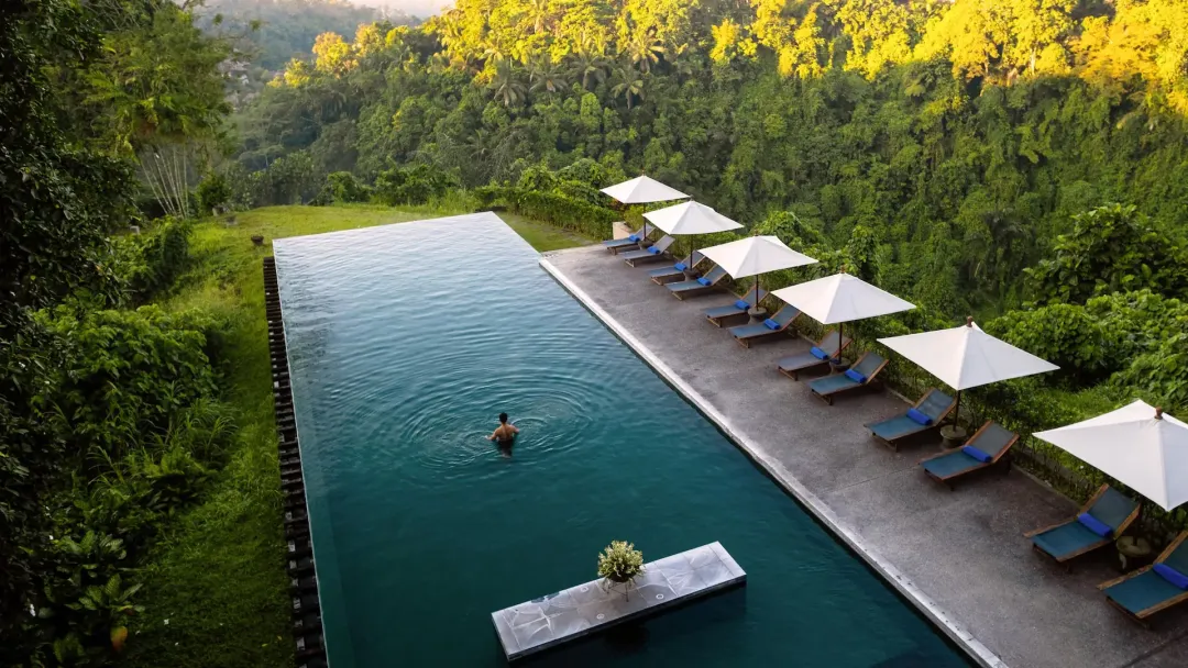 Alila Ubud - Pool View